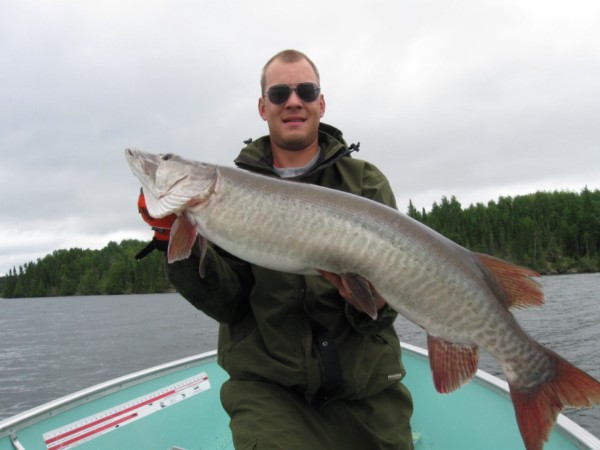 Click to expand / contract the width of this image