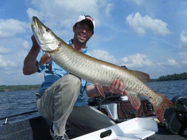 Click to expand / contract the width of this image