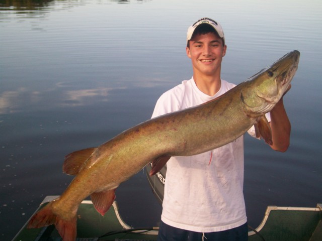 Click to expand / contract the width of this image