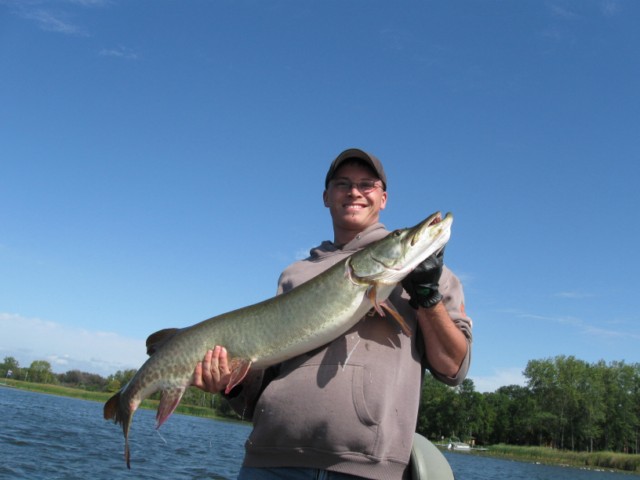 Click to expand / contract the width of this image