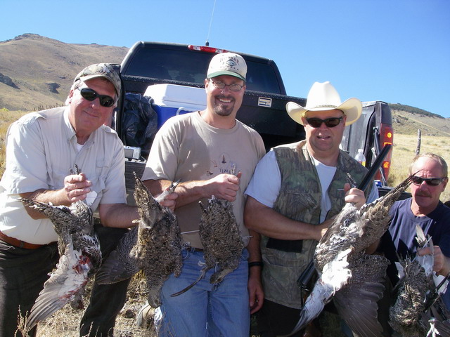 Click to expand / contract the width of this image