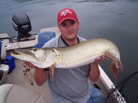 Click to expand / contract the width of this image