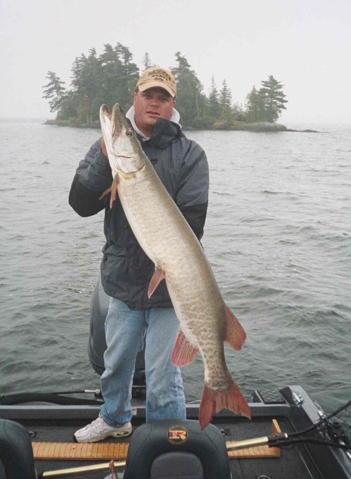 Click to expand / contract the width of this image