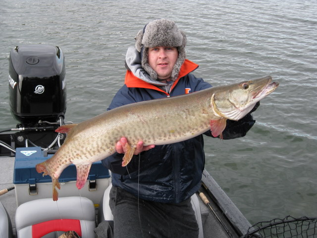 Click to expand / contract the width of this image