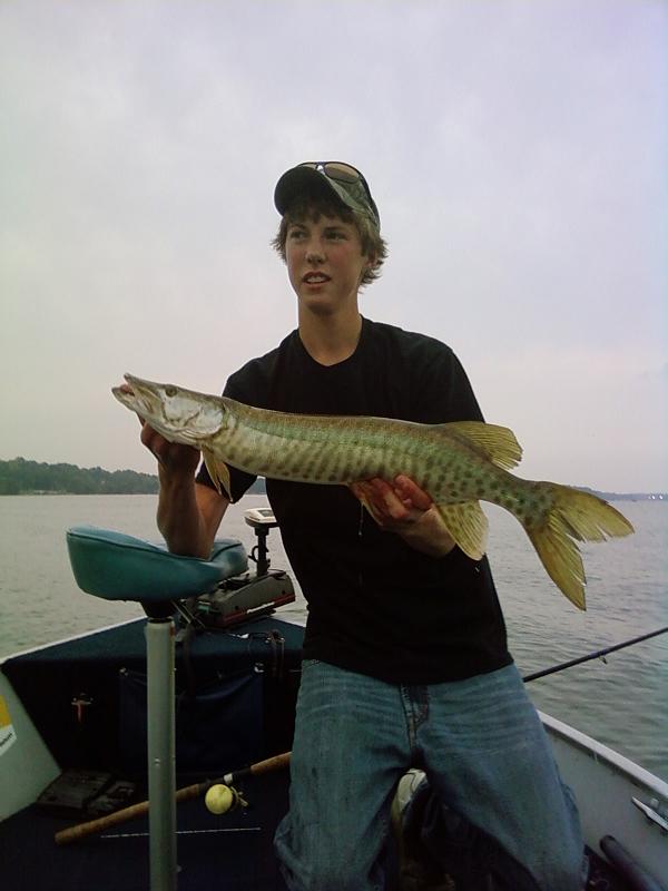 Click to expand / contract the width of this image