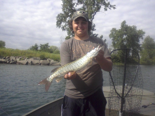 Click to expand / contract the width of this image