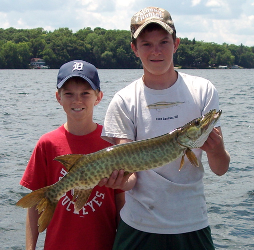 Click to expand / contract the width of this image