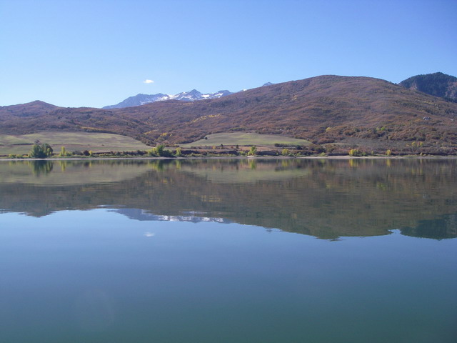 Click to expand / contract the width of this image