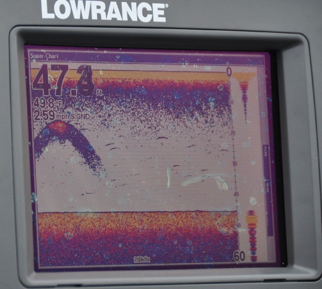 Click to expand / contract the width of this image