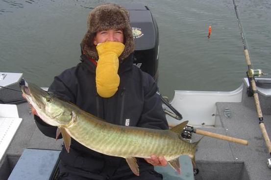 Click to expand / contract the width of this image