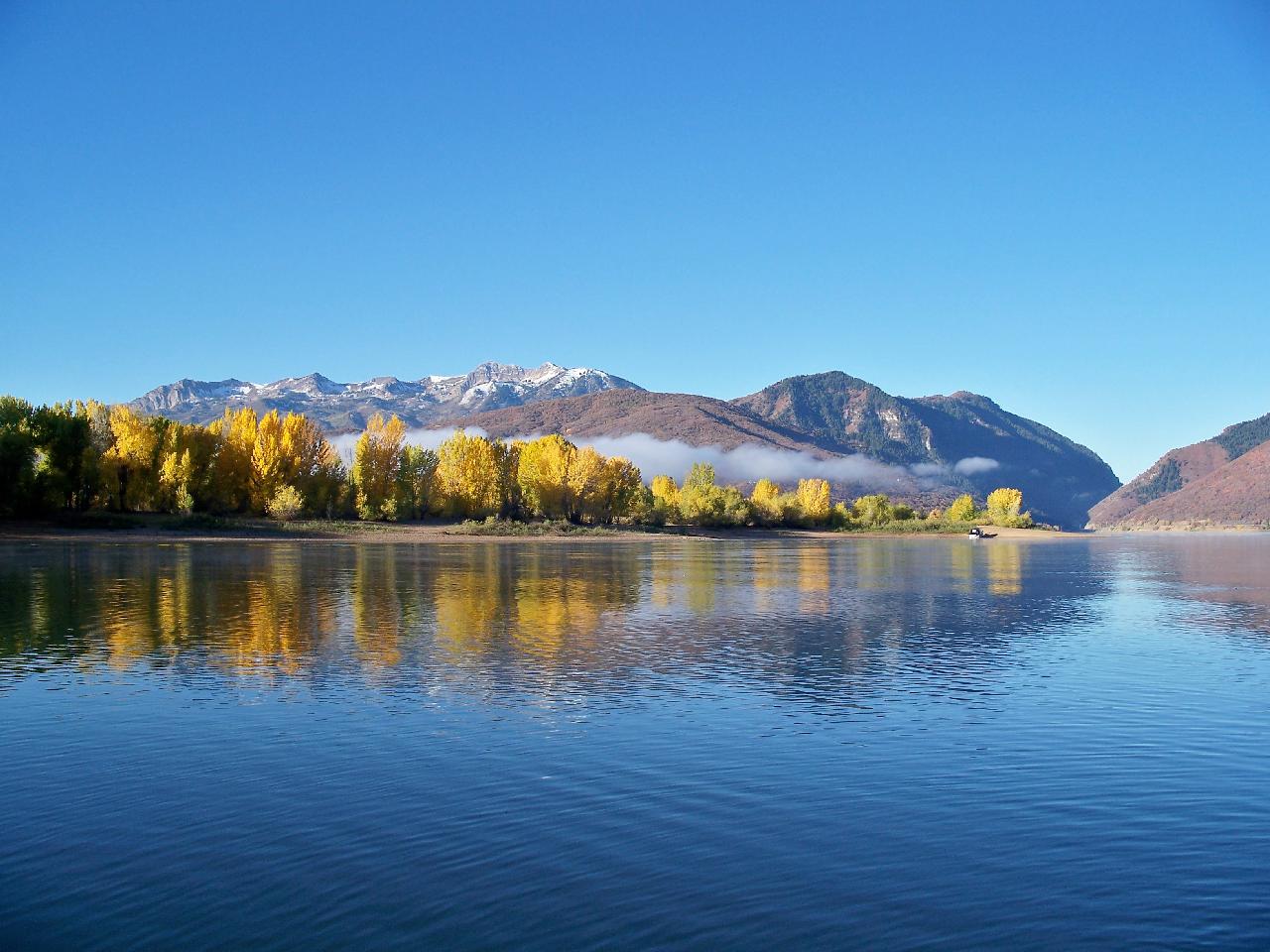 Click to expand / contract the width of this image