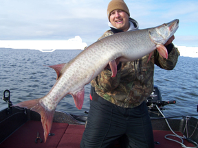 Click to expand / contract the width of this image