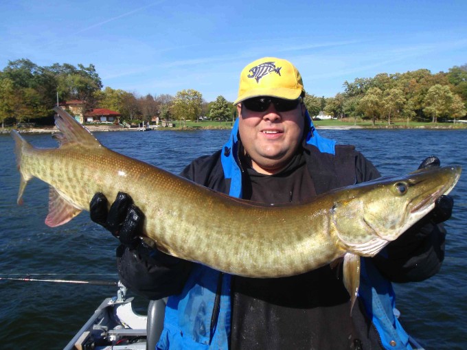 Click to expand / contract the width of this image