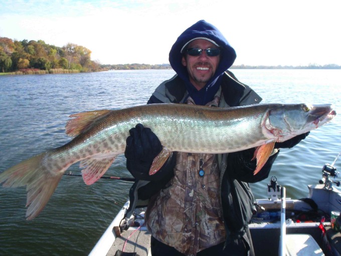 Click to expand / contract the width of this image