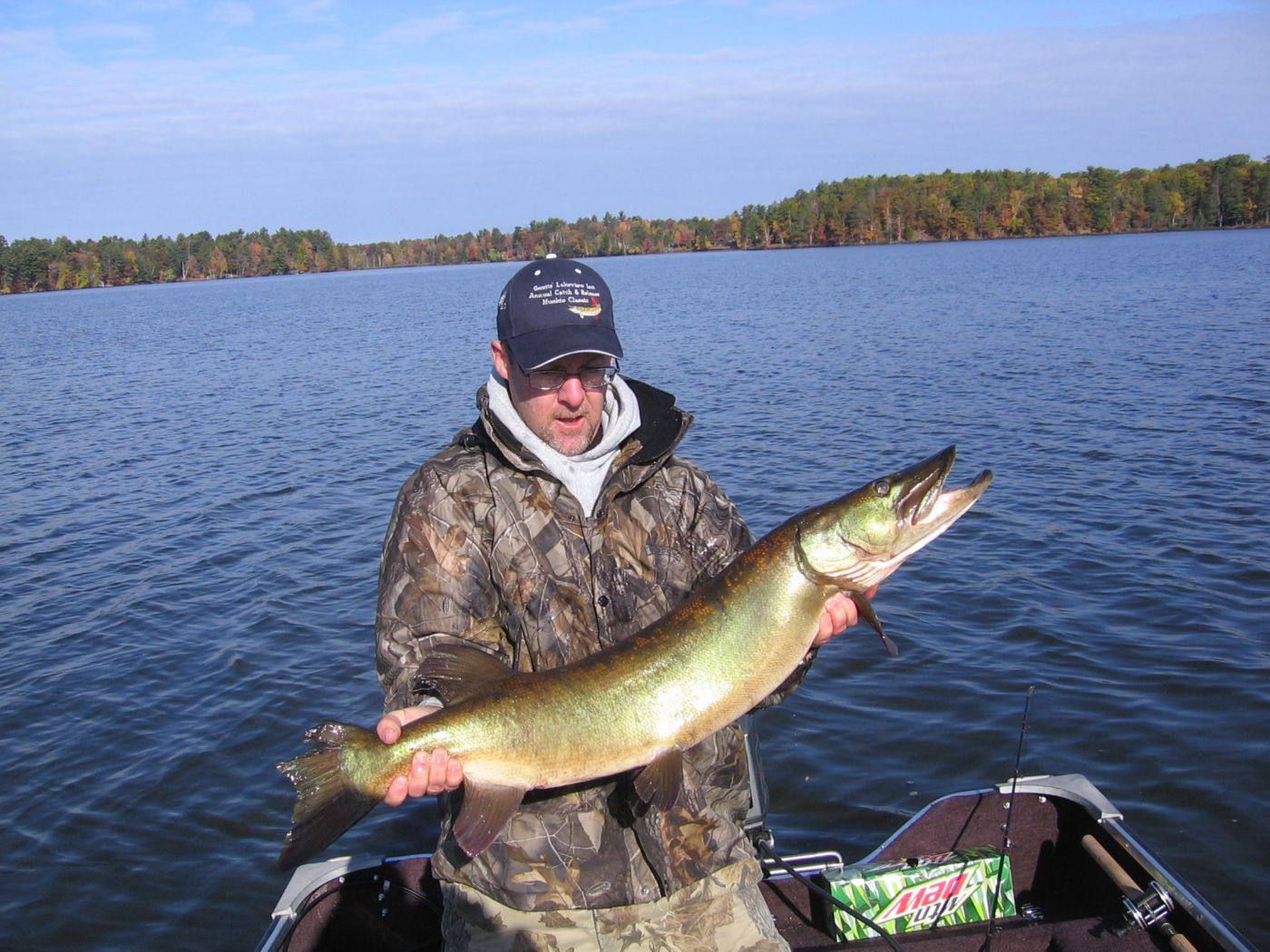 Click to expand / contract the width of this image