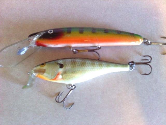 Click to expand / contract the width of this image