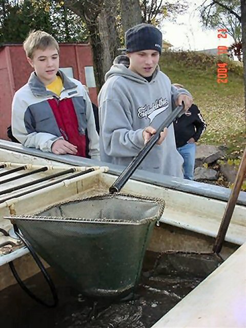 Click to expand / contract the width of this image