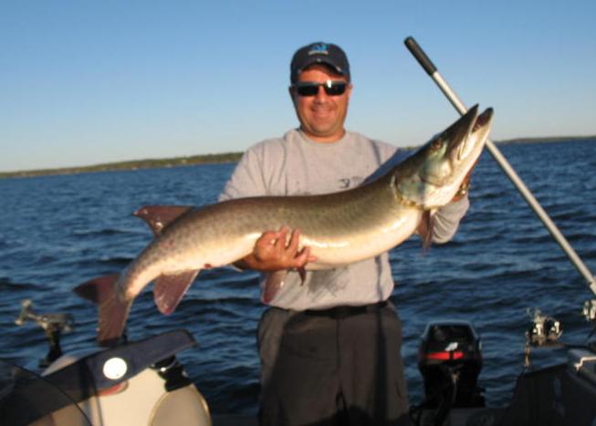 Click to expand / contract the width of this image