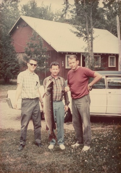 Click to expand / contract the width of this image