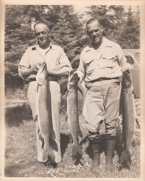 Click to expand / contract the width of this image