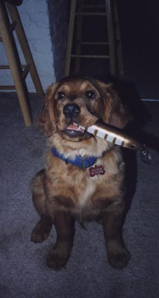 Click to expand / contract the width of this image