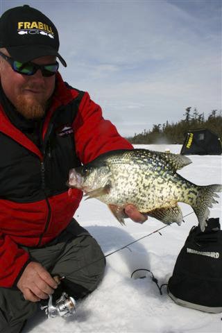 Click to expand / contract the width of this image