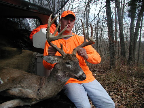 Click to expand / contract the width of this image