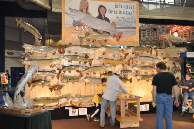 Click to expand / contract the width of this image