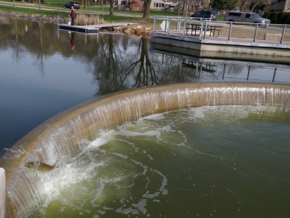 Click to expand / contract the width of this image