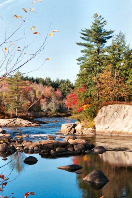 Click to expand / contract the width of this image