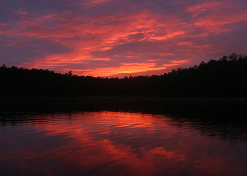 Click to expand / contract the width of this image