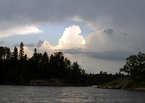 Click to expand / contract the width of this image