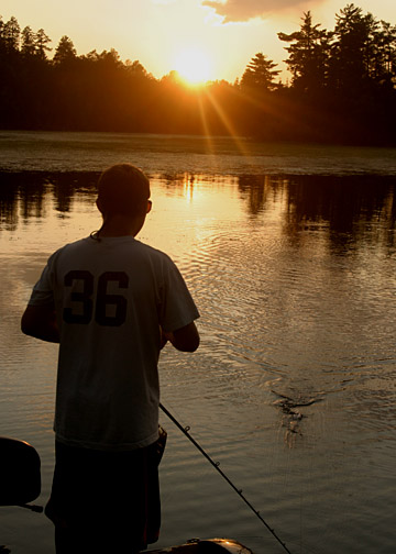 Click to expand / contract the width of this image