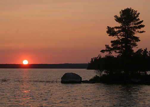 Click to expand / contract the width of this image