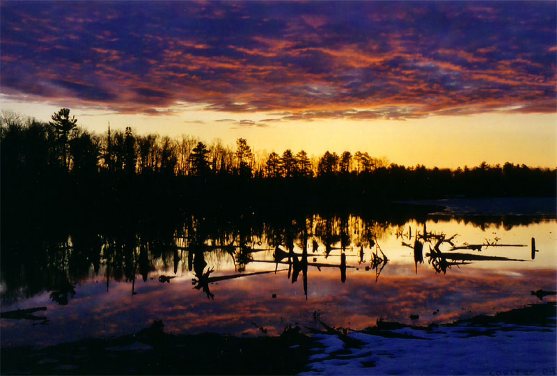 Click to expand / contract the width of this image