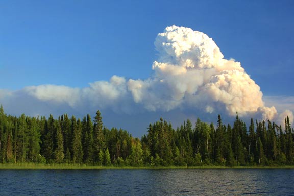 Click to expand / contract the width of this image