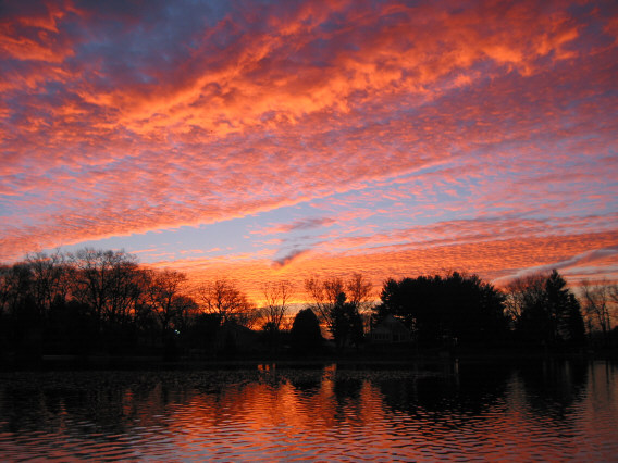 Click to expand / contract the width of this image