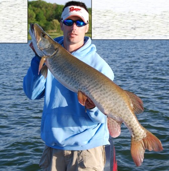 Click to expand / contract the width of this image