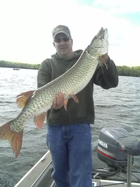 Click to expand / contract the width of this image