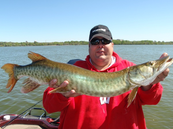 Click to expand / contract the width of this image