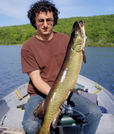 Click to expand / contract the width of this image