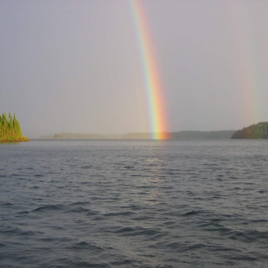 Click to expand / contract the width of this image