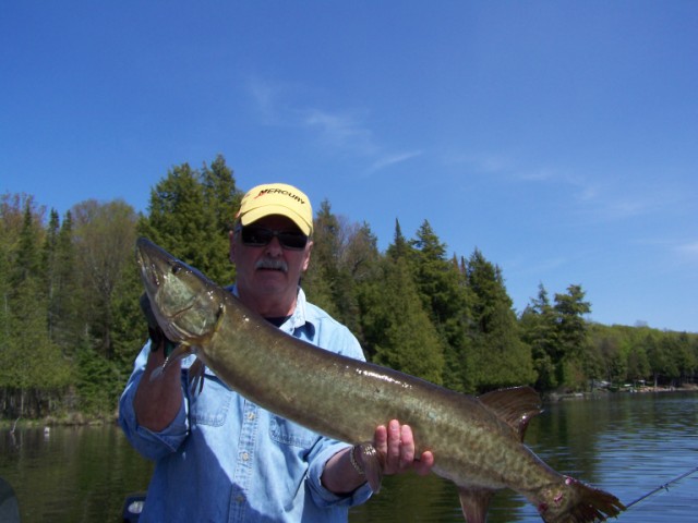 Click to expand / contract the width of this image