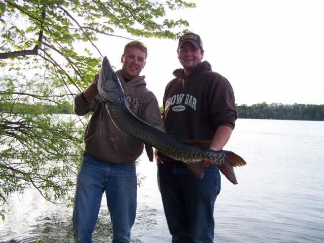 Click to expand / contract the width of this image