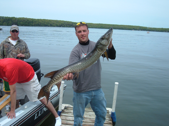 Click to expand / contract the width of this image