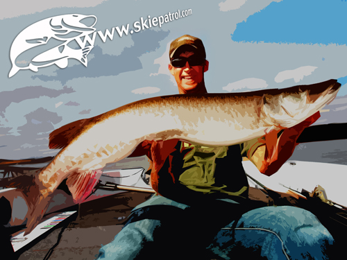 Click to expand / contract the width of this image