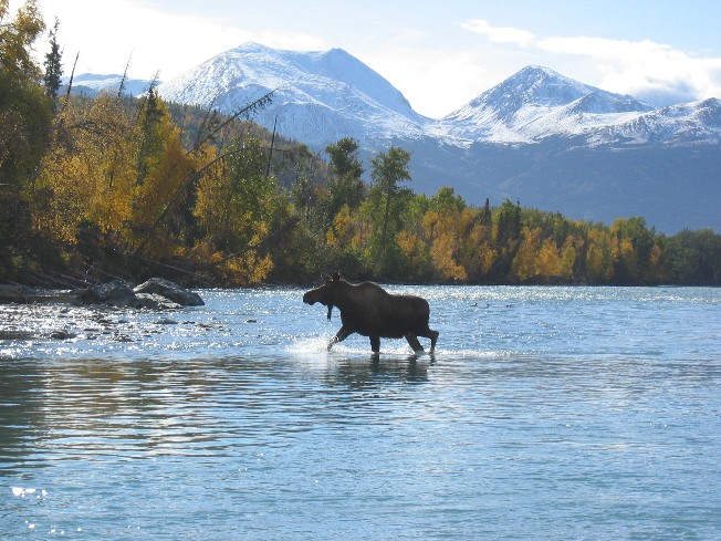 Click to expand / contract the width of this image