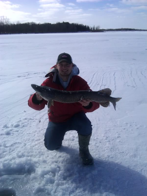 Click to expand / contract the width of this image