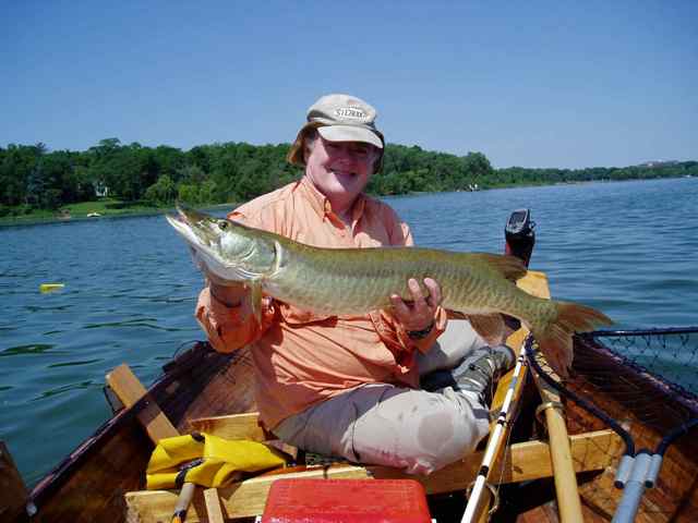 Click to expand / contract the width of this image