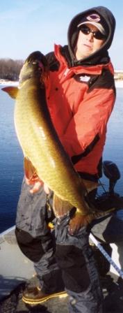 Click to expand / contract the width of this image